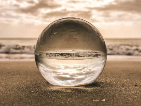 Leading the way to carbon neutrality