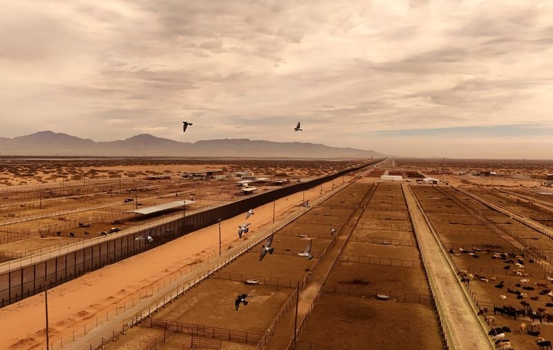US could restrict Mexican livestock imports over screwworm worry, official says