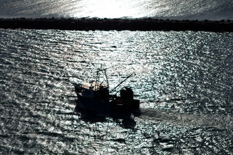 Trump to allow commercial fishing in New England marine monument