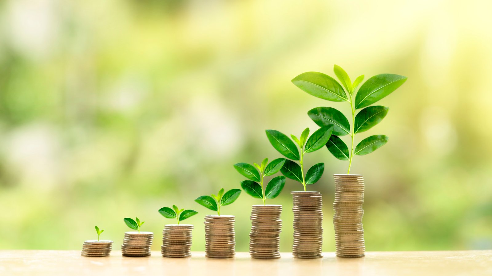 Stacks of coins growing with green shoots symbolizing financial growth and wealth building